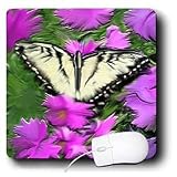 Dinzas Art Animals - Butterfly - Mouse Pads
