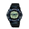 Casio Collection Unisex-Armbanduhr Multi Task Gear Digital Quarz W-S210H-1AVEF