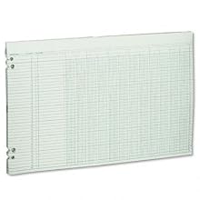 Wilson Jones Green Columnar Ruled Ledger Paper, 12 Columns and 36 Lines per Page, 11 x 17 Inches, 100 Sheets per Pack (WG50-12A)