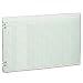 Wilson Jones Green Columnar Ruled Ledger Paper, 12 Columns and 36 Lines per Page, 11 x 17 Inches, 100 Sheets per Pack (WG50-12A)
