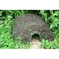 The Hogitat Hedgehog House
