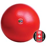 New - GOFIT GF-65PRO PROFESSIONAL STABILITY BALL & CORE PERFORMANCE TRAINING DVD; DARK PURPLE) - 5318271 New - GOFIT GF-65PRO PROFESSIONAL STABILITY BALL & CORE PERFORMANCE TRAINING DVD; DARK PURPLE) - 5318271
