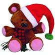 POOKY BEAR WITH CHRISTMAS HAT (GARFIELD'S BEAR) 8" H