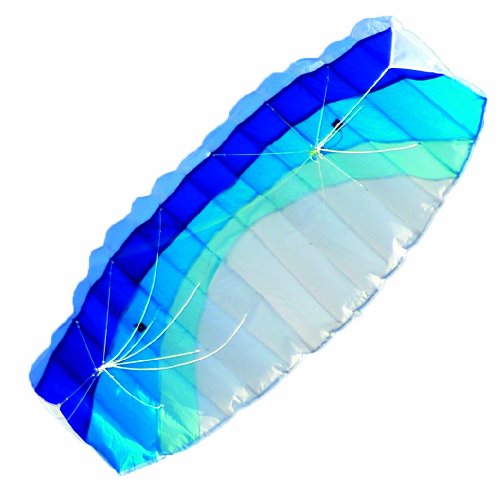 large image