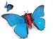 Cuffu Dynamic Blue Butterfly Air Freshener