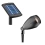 Malibu Solar Cast Aluminum Flood Light and Remote Panel with 12 High Power White LEDs, Black #LZ605RP
