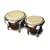 Conga