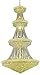 Elegant Lighting Value Primo Collection Chandelier D:48in H:86in Lt:42 Gold Finish (Elegant Cut Crystals) Gold