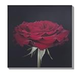 Graham und Brown 40-068 Wandbild Crimson Kiss