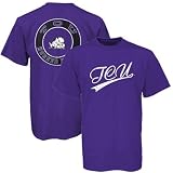 Texas Christian Horned Frogs Purple Distressed Dual Graphics T-shirt