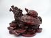 Feng Shui Dragon Headed Tortoise free jade Knot Chain Rst016
