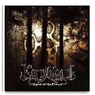 Spirit of the Forest