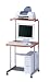 �R���s���[�^�[�f�X�N PCW-30