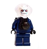 Mr. Freeze - miniBIGS Custom Minifigure