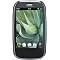 Palm Products