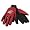 Washington State Cougars