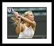 Maria Sharapova Tennis Framed 8x10 Photograph 2005 Wimbledon Close Up