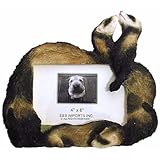 Ferret Family Frame