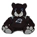 SC Sports NFL Carolina Panthers Plush Mascot Figure