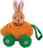 Take-Along Toy for Travel, Bunny in Carrot