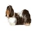 SHIH TZU - Dog Decal - sticker dogs car got graphic