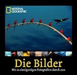 National Geographic: Die Bilder 2011 title=