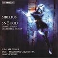 Sibelius - Cantatas and Orchestral Works