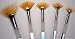 Royal Aqualon Wisp Artist Paint Brushes 5pc Fan Set