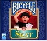 Bicycle Skat