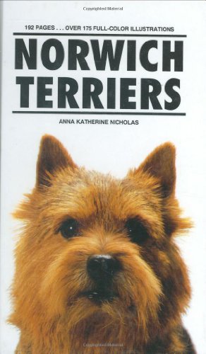 Norwich Terrier