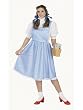 Plus Size Country Girl Costume Halloween and Theatre Costumes