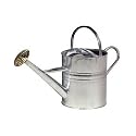 2 Gallon Galvanized Watering Can
