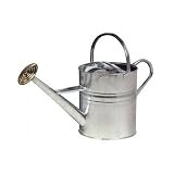 2 Gallon Galvanized Watering Can