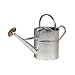 2 Gallon Galvanized Watering Can