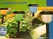 Kitchen & Housewares : SET OF 4 CONTEMPORARY COLOUR CHANGE GARDEN SOLAR LIGHTS