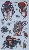 GUITAR TATTOOS 10 SEXY SPIDERS M^[p^gD[V[