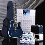 Musical Instruments : Esteban Starlight LIMTED EDITION Artist Series Acoustic/Electric Guitar Set- Blue