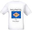 DELAWARE - THE FIRST STATE - FLAG - State-series - White T-shirt