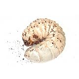 ���i�̏ڍ�