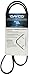 Dayco 5040437 Serpentine Belt