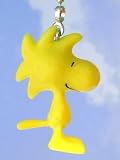 Woodstock Ceiling Fan Light Pull