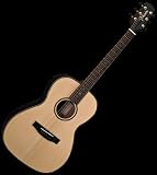 NEW TAKAMINE G SERIES ACOUSTIC GUITAR