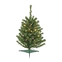 2' Pre-Lit Balsam Fir Artificial Christmas Tree - Multi Lights