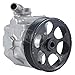 Vision Oe 990-0763 Remanufactured Pump Without Reservoir