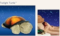 Cloud B Twilight Turtle