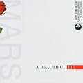 A Beautiful Lie