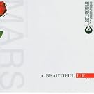 A Beautiful Lie