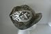 NFL Tennessee Titans On Field Billed Camouflage Camo Knit Beanie Ski Cap