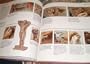 The Encyclopedia of Sculpting Techniques: A Unique Visual Directory, With Step-By-Step Instructions and a Gallery of Finished Works