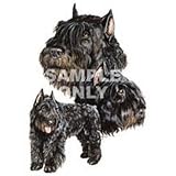 Bouvier des Flandres Night Light